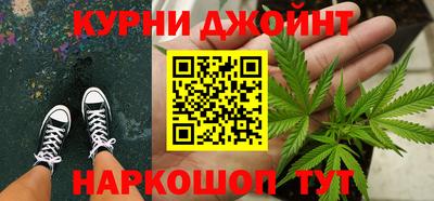 сатива Вязьма