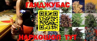 сатива Вязьма