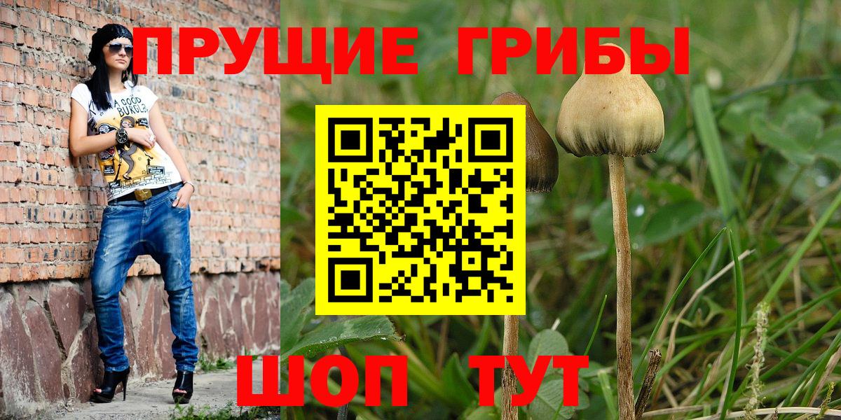 Галлюциногенные грибы мицелий Печора