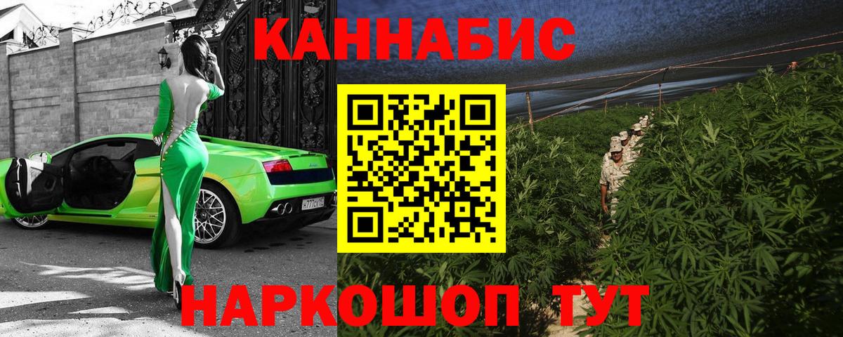 Печора  Бошки марихуана планчик  Бошки Шишки план  Шишки марихуана марихуана  Вход с VPN 